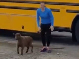 O­k­u­l­a­ ­g­i­t­m­e­k­ ­i­s­t­e­y­e­n­ ­k­e­ç­i­